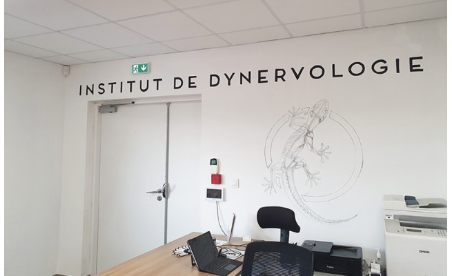 Accueil de l'Institut, mur signature et gecko